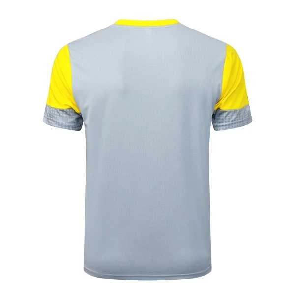 Bv 09 Borussia Dortmund Maillot 2025 2026 Gris | maillotdefootpersonnalise