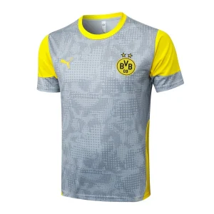 Bv 09 Borussia Dortmund Maillot 2025 2026 Gris | maillotdefootpersonnalise