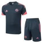 Bayern Munich Ensemble 2025 2026 Gris | maillotdefootpersonnalise