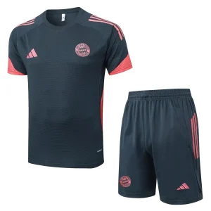 Bayern Munich Ensemble 2025 2026 Gris | maillotdefootpersonnalise