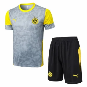 Bv 09 Borussia Dortmund Ensemble 2025 2026 Gris | maillotdefootpersonnalise