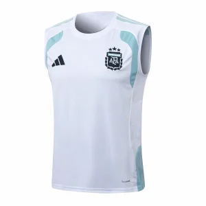 Argentine Maillot 2026 - Argentine Pas Cher | maillotdefootpersonnalise