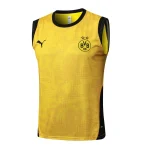 Bv 09 Borussia Dortmund Maillot 2025 2026 | maillotdefootpersonnalise