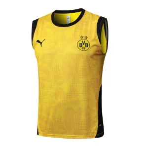 Bv 09 Borussia Dortmund Maillot 2025 2026 | maillotdefootpersonnalise