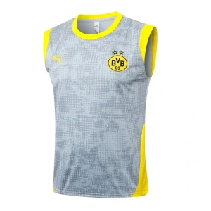 Bv 09 Borussia Dortmund Maillot 2025 2026 Gris | maillotdefootpersonnalise