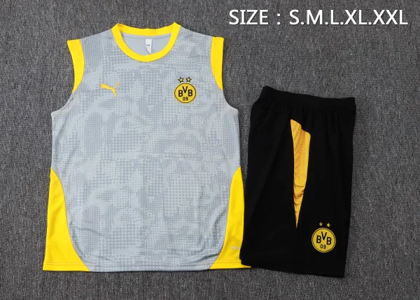 Bv 09 Borussia Dortmund Ensemble 2025 2026 Gris | maillotdefootpersonnalise