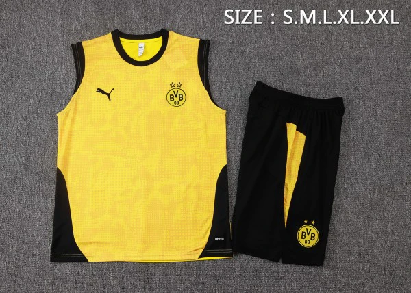 Bv 09 Borussia Dortmund Ensemble 2025 2026 | maillotdefootpersonnalise