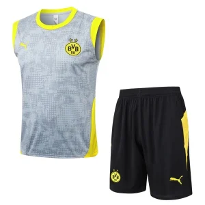 Bv 09 Borussia Dortmund Ensemble 2025 2026 Gris | maillotdefootpersonnalise