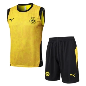 Bv 09 Borussia Dortmund Ensemble 2025 2026 | maillotdefootpersonnalise