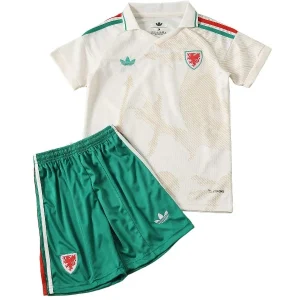 Pays de Galles Enfant Ensemble 2026 - Pays De Galles Enfant Pas Cher | maillotdefootpersonnalise