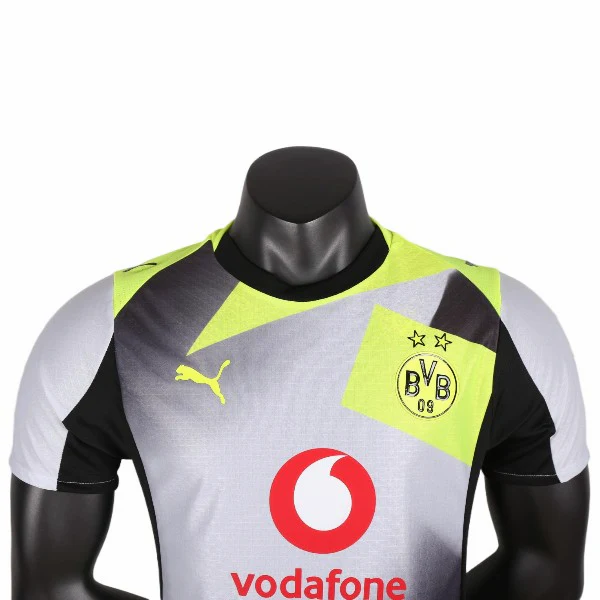 Bv 09 Borussia Dortmund Maillot 2025 2026 Gris | maillotdefootpersonnalise