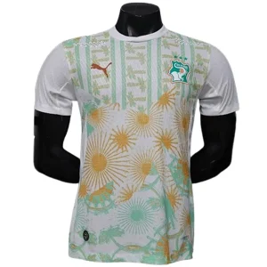 Côte D'ivoire Maillot 2026 - Maillot Côte D'ivoire 2026 | maillotdefootpersonnalise