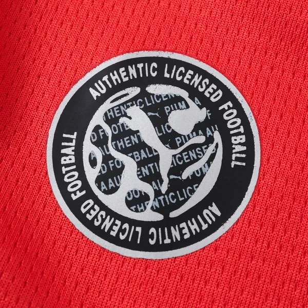 Égypte Maillot 2026 - Maillot Égypte 2026 | maillotdefootpersonnalise