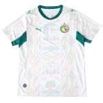 Sénégal Maillot 2026 - Maillot Sénégal | maillotdefootpersonnalise
