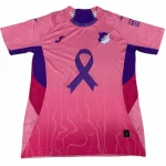 Hoffenheim Maillot 2025 2026 - Maillot Hoffenheim | maillotdefootpersonnalise
