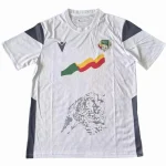 Benin Maillot 2023 - Maillot Benin 2025 | maillotdefootpersonnalise