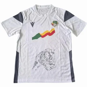 Benin Maillot 2023 - Maillot Benin 2025 | maillotdefootpersonnalise