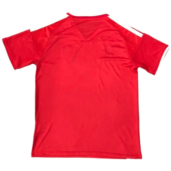 Pays de Galles Maillot 2026 - Maillot Pays De Galles | maillotdefootpersonnalise