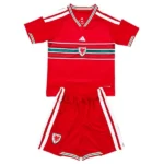 Pays de Galles Ensemble 2026 Rouge - Pays De Galles Pas Cher | maillotdefootpersonnalise
