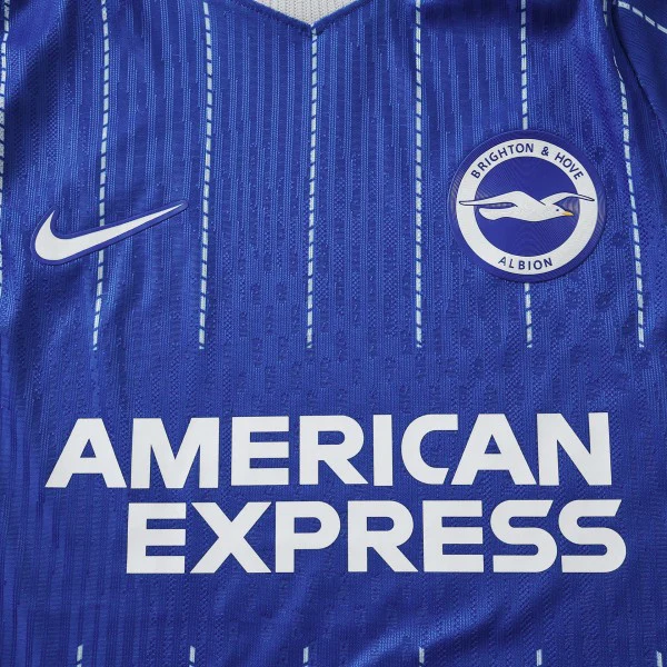 Brighton & Hove Albion Maillot 2026 2027 Bleu - Maillot Brighton Hove Albion | maillotdefootpersonnalise