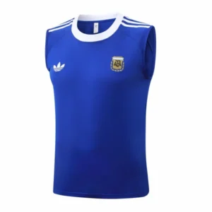 Argentine Maillot 2026 Bleu - Maillot Argentine 2026 | maillotdefootpersonnalise