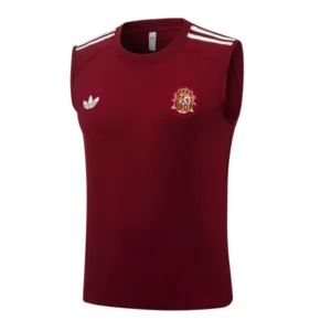 Espagne Maillot 2026 - Maillot Espagne Coupe Du Monde 2026 | maillotdefootpersonnalise