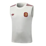 Espagne Maillot 2026 Jaune - Maillot Espagne Coupe Du Monde 2026 | maillotdefootpersonnalise