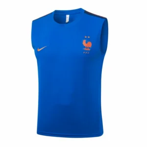 France Maillot 2026 Bleu - Maillot France Coupe Du Monde 2026 | maillotdefootpersonnalise