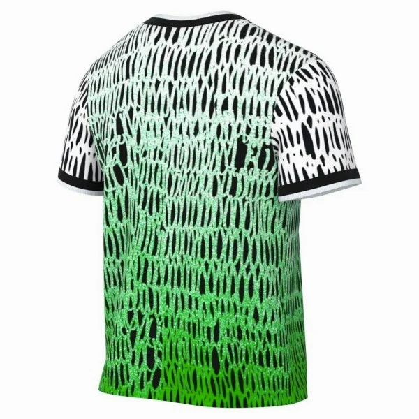 Nigeria Maillot 2026 Vert - Maillot Nigeria | maillotdefootpersonnalise